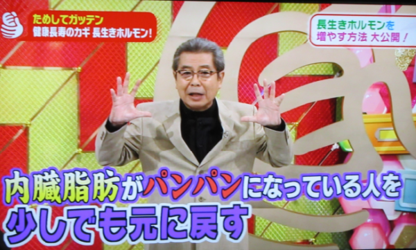 内臓脂肪7