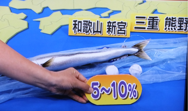 サンマの生態12