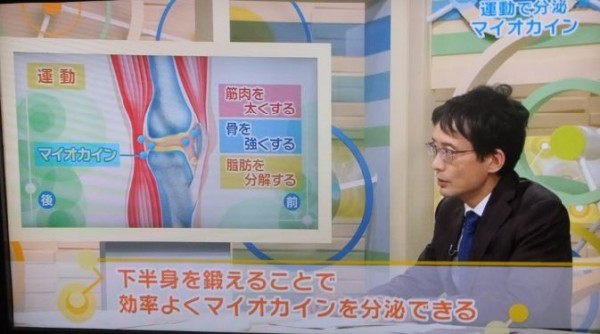 ひざ変形症09