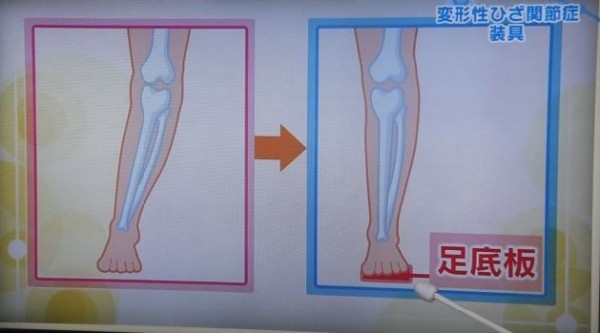 足底板02