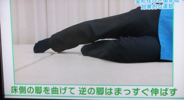 横向き02